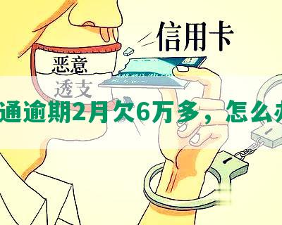 交通逾期2月欠6万多，怎么办？