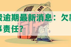 北银消费逾期最新消息：欠款五千多，负刑事责任？