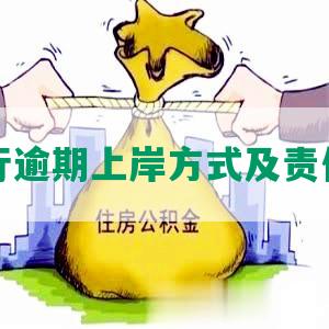 发银行逾期上岸方式及责任承担