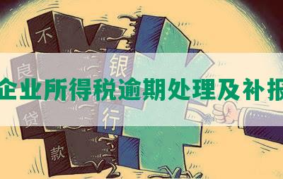 深圳企业所得税逾期处理及补报政策