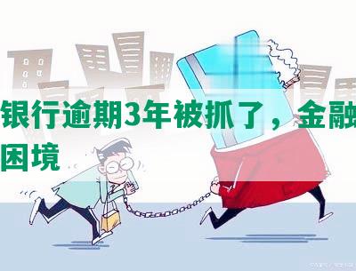 招商银行逾期3年被抓了，金融巨头陷入困境