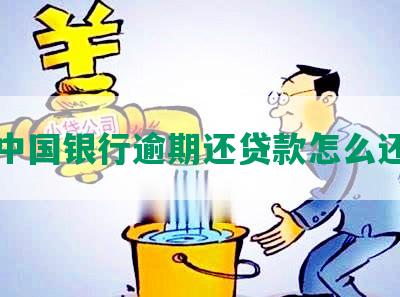 中国银行逾期还贷款怎么还