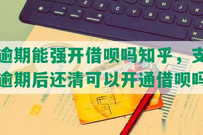 花呗逾期能强开借呗吗知乎，支付宝花呗逾期后还清可以开通借呗吗？