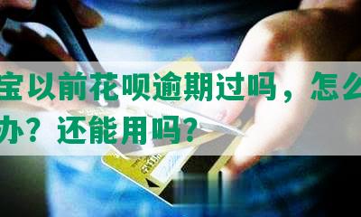 支付宝以前花呗逾期过吗，怎么查和怎么办？还能用吗？