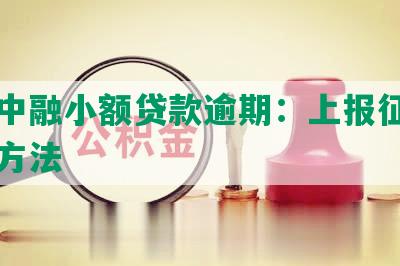 深圳中融     逾期：上报征信与处理方法