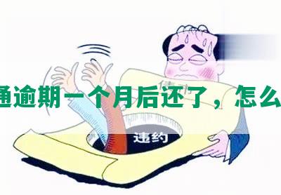 交通逾期一个月后还了，怎么办？