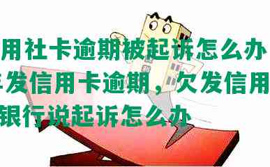 发信用社卡逾期被起诉怎么办，2021年发信用卡逾期，欠发信用卡2,5万银行说起诉怎么办