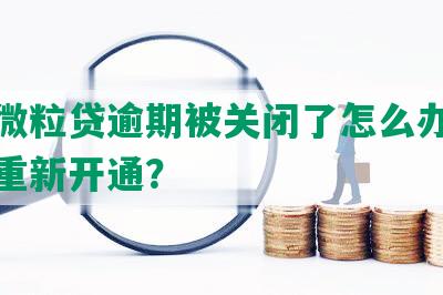 微信微粒贷逾期被关闭了怎么办，多久能重新开通？