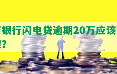 招商银行闪电贷逾期20万应该如何处理？