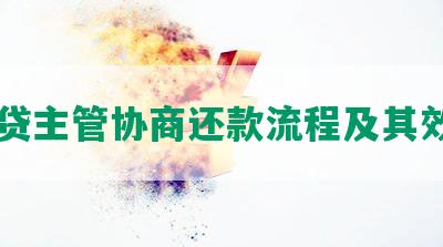 网贷主管协商还款流程及其效用