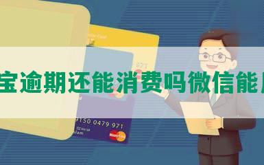 支付宝逾期还能消费吗微信能用吗？