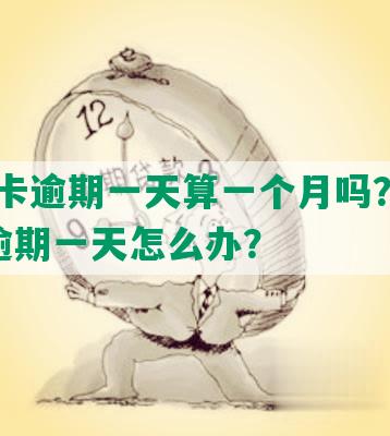 信用卡逾期一天算一个月吗？2021年逾期一天怎么办？