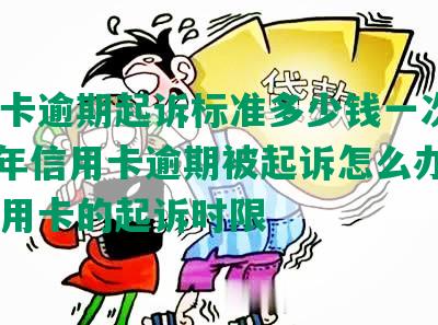 信用卡逾期起诉标准多少钱一次，2020年信用卡逾期被起诉怎么办，欠信用卡的起诉时限