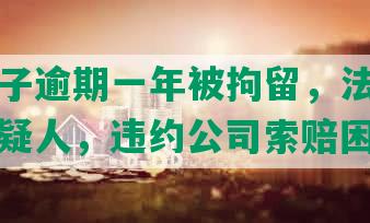 深圳女子逾期一年被拘留，法院判决拘留嫌疑人，违约公司索赔困境