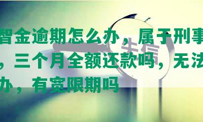 发财智金逾期怎么办，属于刑事还是民事，三个月全额还款吗，无法还款怎么办，有宽限期吗