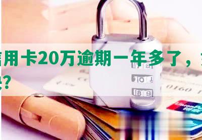 欠信用卡20万逾期一年多了，如何解决？