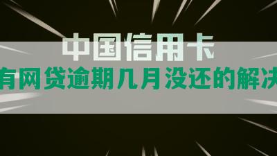 有没有网贷逾期几月没还的解决方法