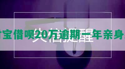 支付宝借呗20万逾期一年亲身经历