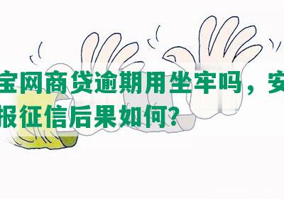 支付宝网商贷逾期用坐牢吗，安全吗？上报征信后果如何？