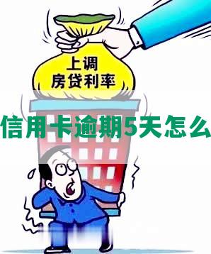 招商信用卡逾期5天怎么处理