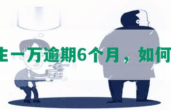 欠民生一万逾期6个月，如何解决？