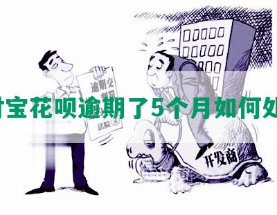 支付宝花呗逾期了5个月如何处理？