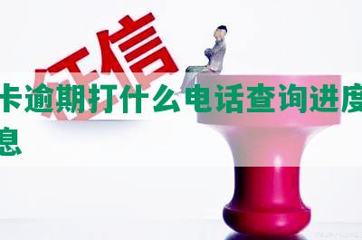 信用卡逾期打什么电话查询进度及欠款信息