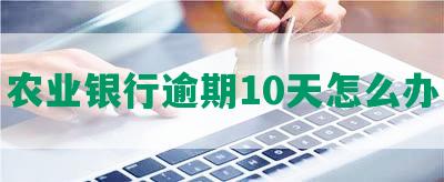 农业银行逾期10天怎么办