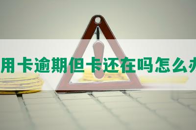 信用卡逾期但卡还在吗怎么办？