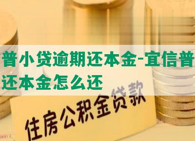 宜信普小贷逾期还本金-宜信普小贷逾期还本金怎么还