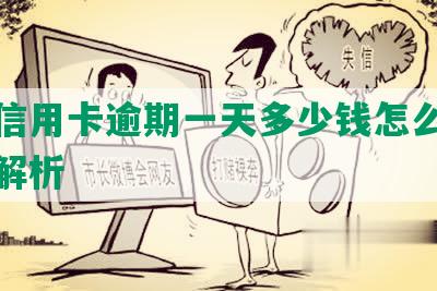 一万信用卡逾期一天多少钱怎么算及相关解析