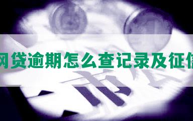 个人网贷逾期怎么查记录及征信查询