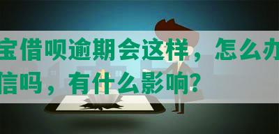 支付宝借呗逾期会这样，怎么办？会上征信吗，有什么影响？