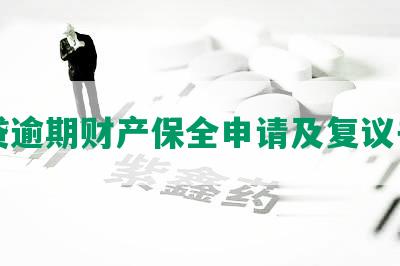 网贷逾期财产保全申请及复议书写