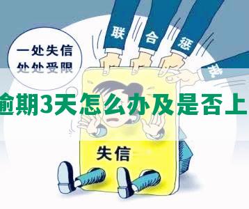 民生逾期3天怎么办及是否上征信？