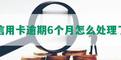 信用卡逾期6个月怎么处理了