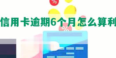 多张信用卡逾期6个月怎么算利息和后果