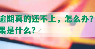 网贷逾期真的还不上，怎么办？最坏的结果是什么？