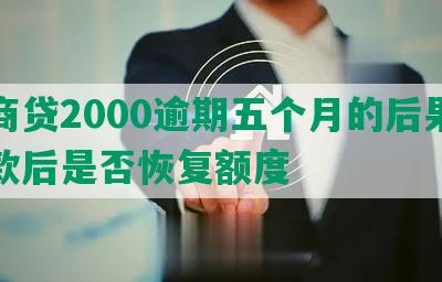 网商贷2000逾期五个月的后果及还款后是否恢复额度