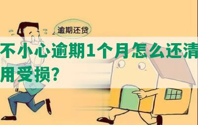 花呗不小心逾期1个月怎么还清并避免信用受损？