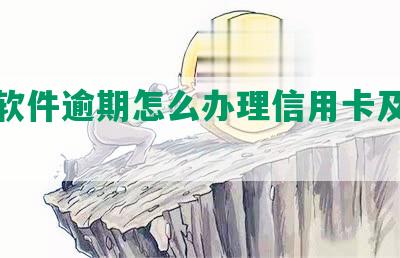 查询软件逾期怎么办理信用卡及相关业务