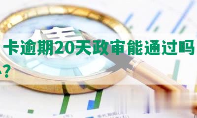 信用卡逾期20天政审能通过吗，怎么办？