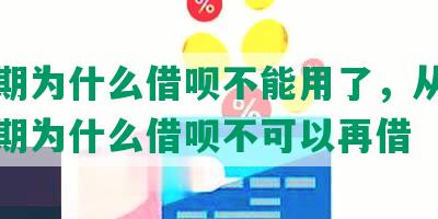 没逾期为什么借呗不能用了，从来没有逾期为什么借呗不可以再借