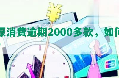 中原消费逾期2000多款，如何解决？