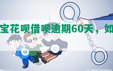 支付宝花呗借呗逾期60天，如何处理？