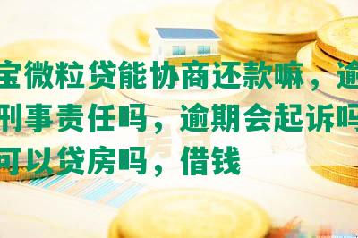 支付宝微粒贷能协商还款嘛，逾期会涉及刑事责任吗，逾期会起诉吗，没还清可以贷房吗，借钱