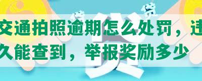 北京交通拍照逾期怎么处罚，违章被拍多久能查到，举报奖励多少