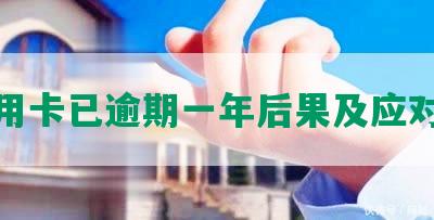 信用卡已逾期一年后果及应对措