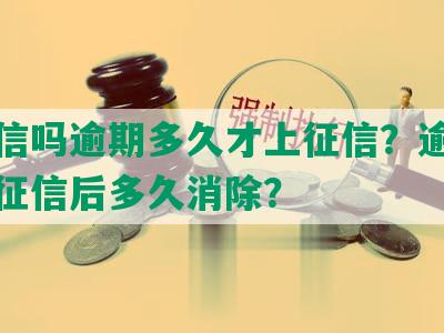 上征信吗逾期多久才上征信？逾期记录上征信后多久消除？