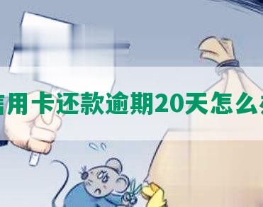 信用卡还款逾期20天怎么办